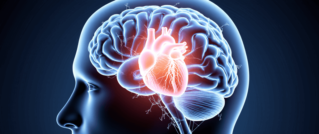 an anatomical illustration of a human brain, with a glowing, resilient heart at its center, connected by neural pathways, symbolizing the mind's power to change the body's response to stress